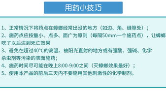 食品工廠如何徹底消滅蟑螂？專家分享實(shí)用方法與運(yùn)營策略
