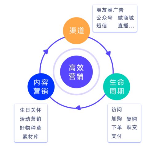 破解私域增長難題，微動天下企量SCRM如何以精細化運營賦能企業
